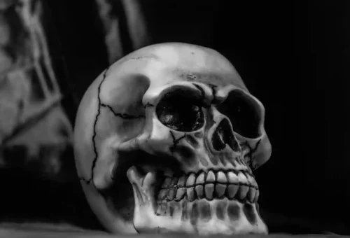 The Long Shadow of the Black Death: Ancient DNA and 400 Years of Plague in Europe